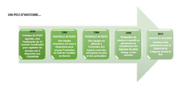 histoire de l'esat