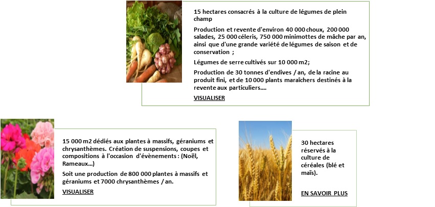 chiffres horticulture maraîchage