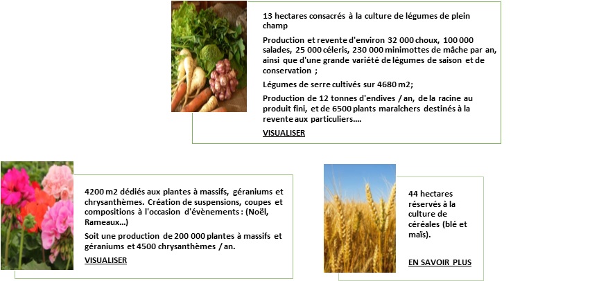 chiffres horticulture maraîchage