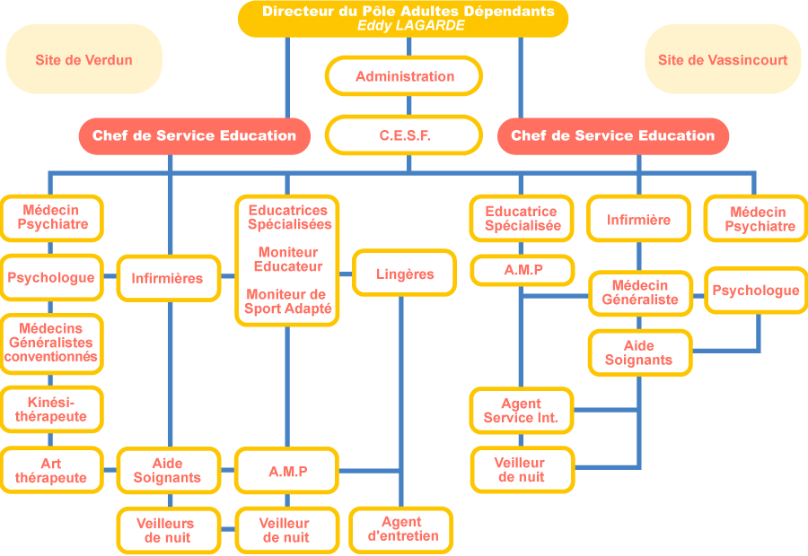 Organigramme du Pôle adultes dépendants