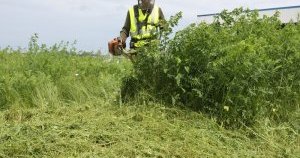 Création et entretien des espaces verts - LES JARDINS DE VASSINCOURT