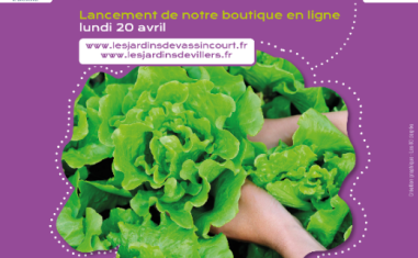 Les Jardins de l'ADAPEI de la Meuse lancent leur boutique en ligne !
