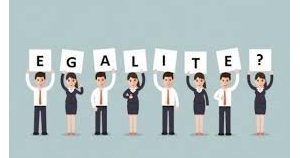 Mise à jour de l'indicateur Egalité Professionnelle Hommes / Femmes