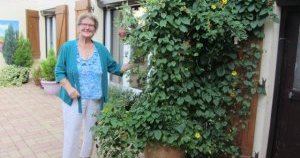 Le jardin de Martine Chaussy