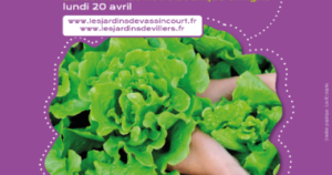 Les Jardins de l'ADAPEI de la Meuse lancent leur boutique en ligne !