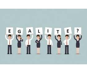 Mise à jour de l'indicateur Egalité Professionnelle Hommes / Femmes